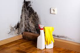 Best Mold Damage Restoration in Newark, OH